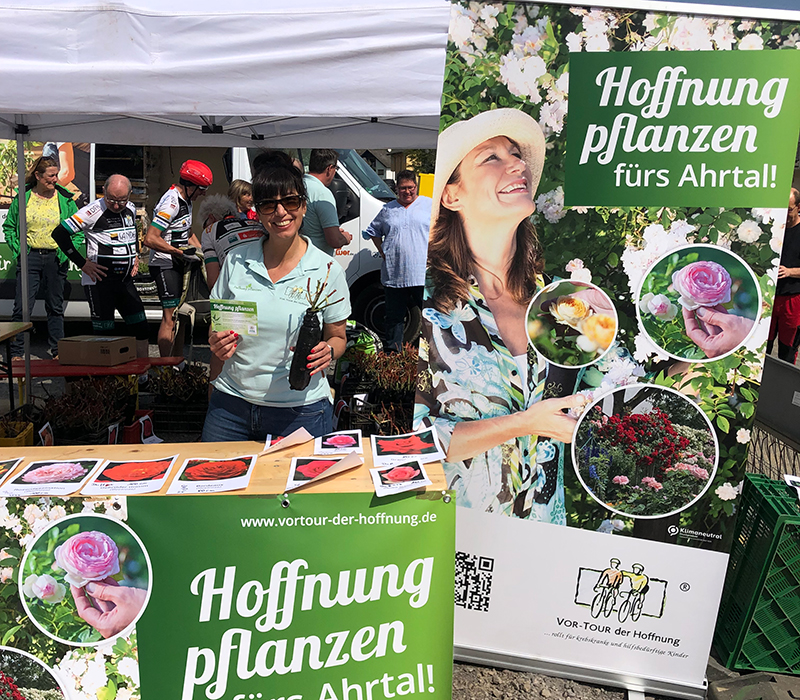 Hoffnung pflanzen